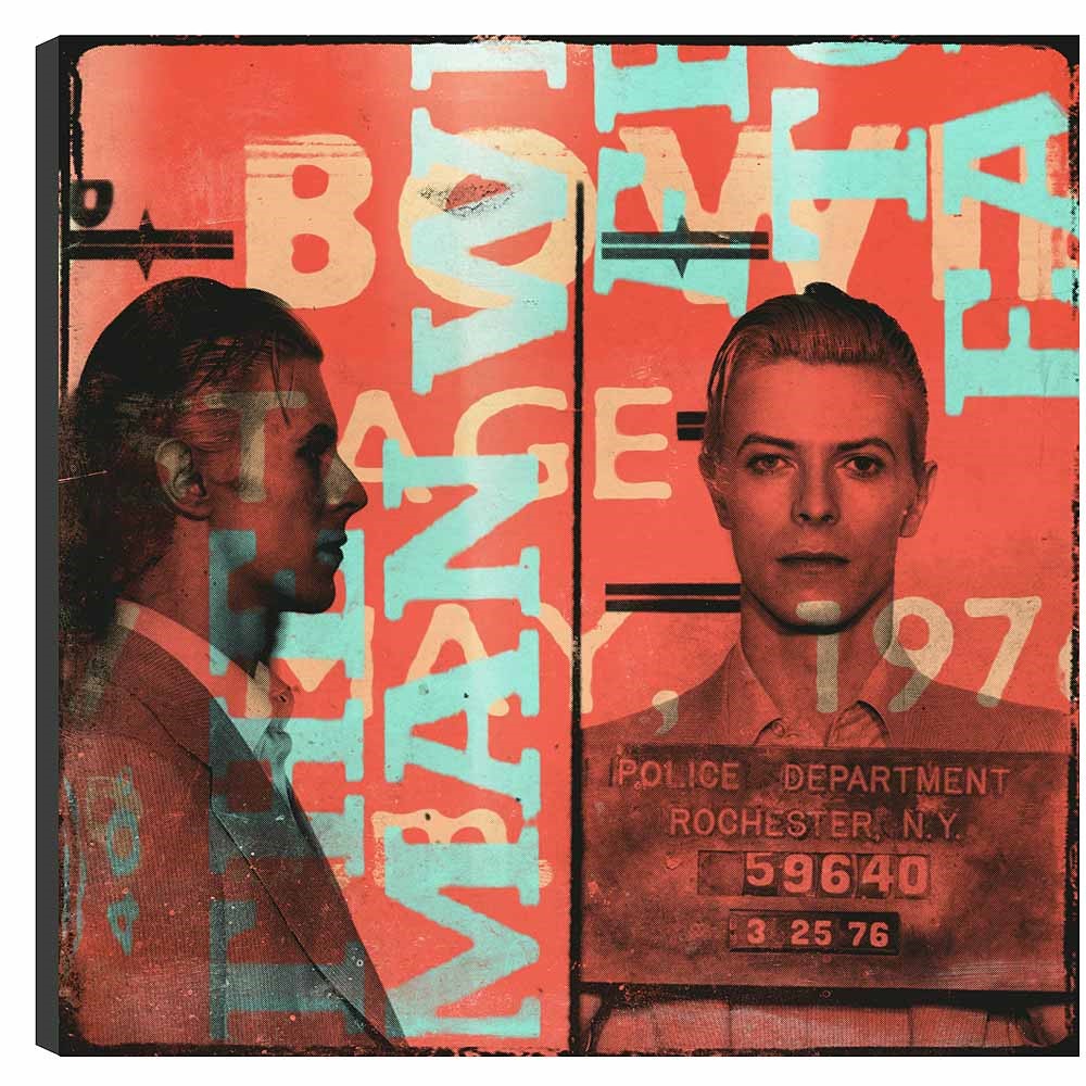 Bowie by Louis Sidoli, Pop