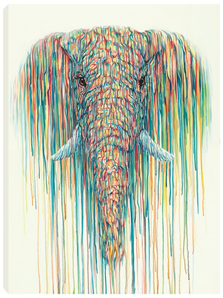 Manny by Robert Oxley, Animals | Abstract