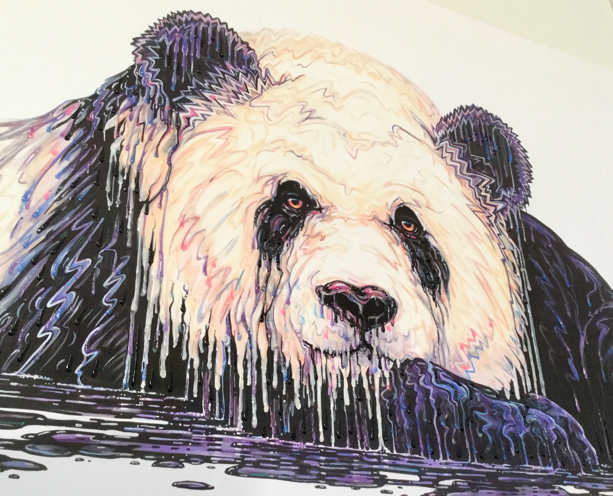 Diplomat by Robert Oxley, Abstract | Animals | Panda