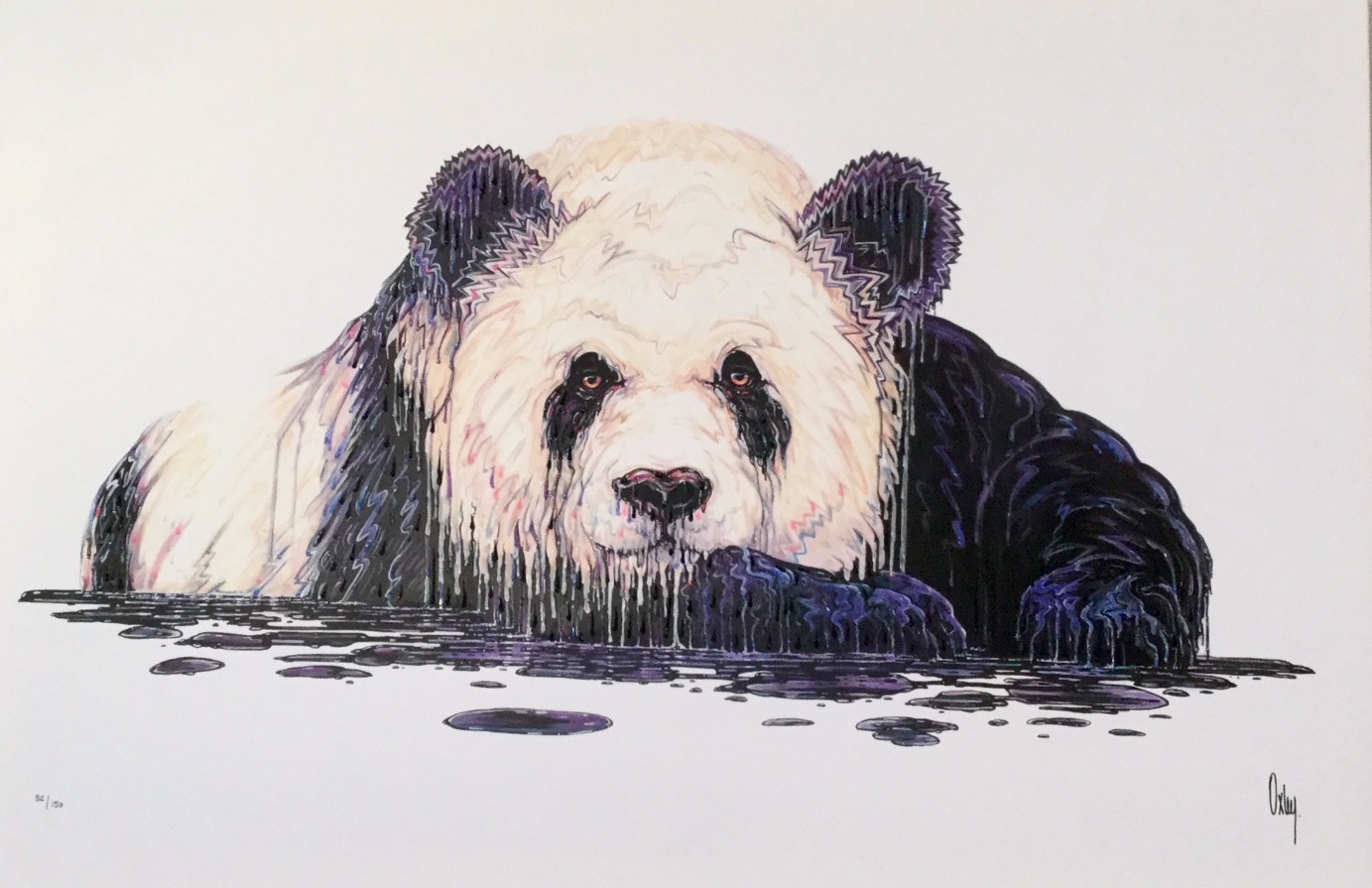 Diplomat by Robert Oxley, Abstract | Animals | Panda