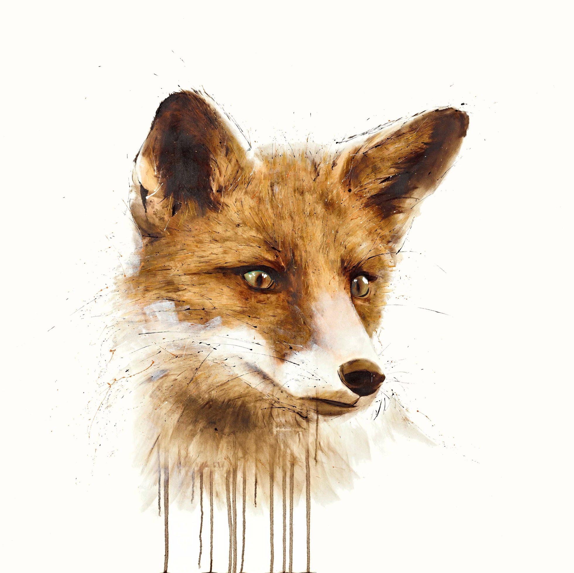 Mr. Fox by David Rees, Animals | Fox