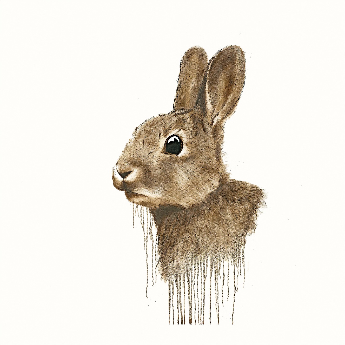 Cotton Tail by David Rees, Animals | Rabbit