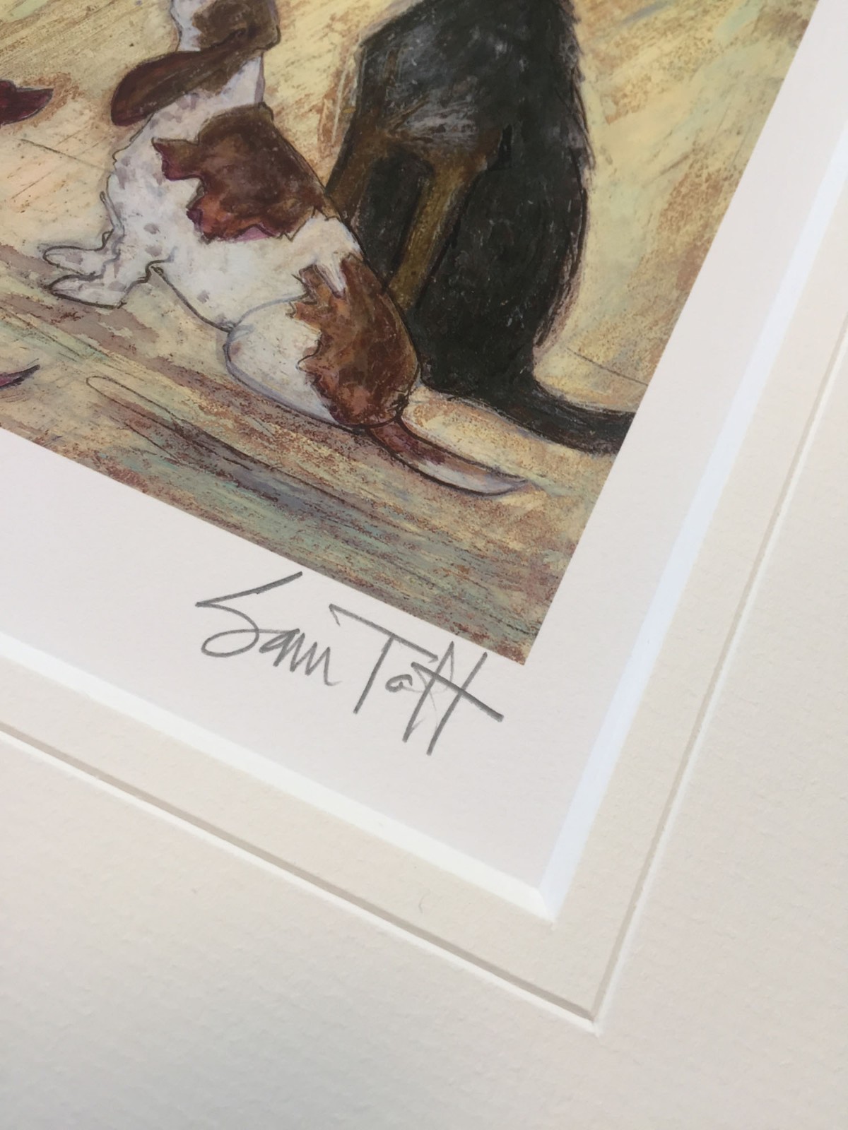 Cats and Dogs (Remarque) by Sam Toft, Cat | Dog | Water | Figurative | Animals