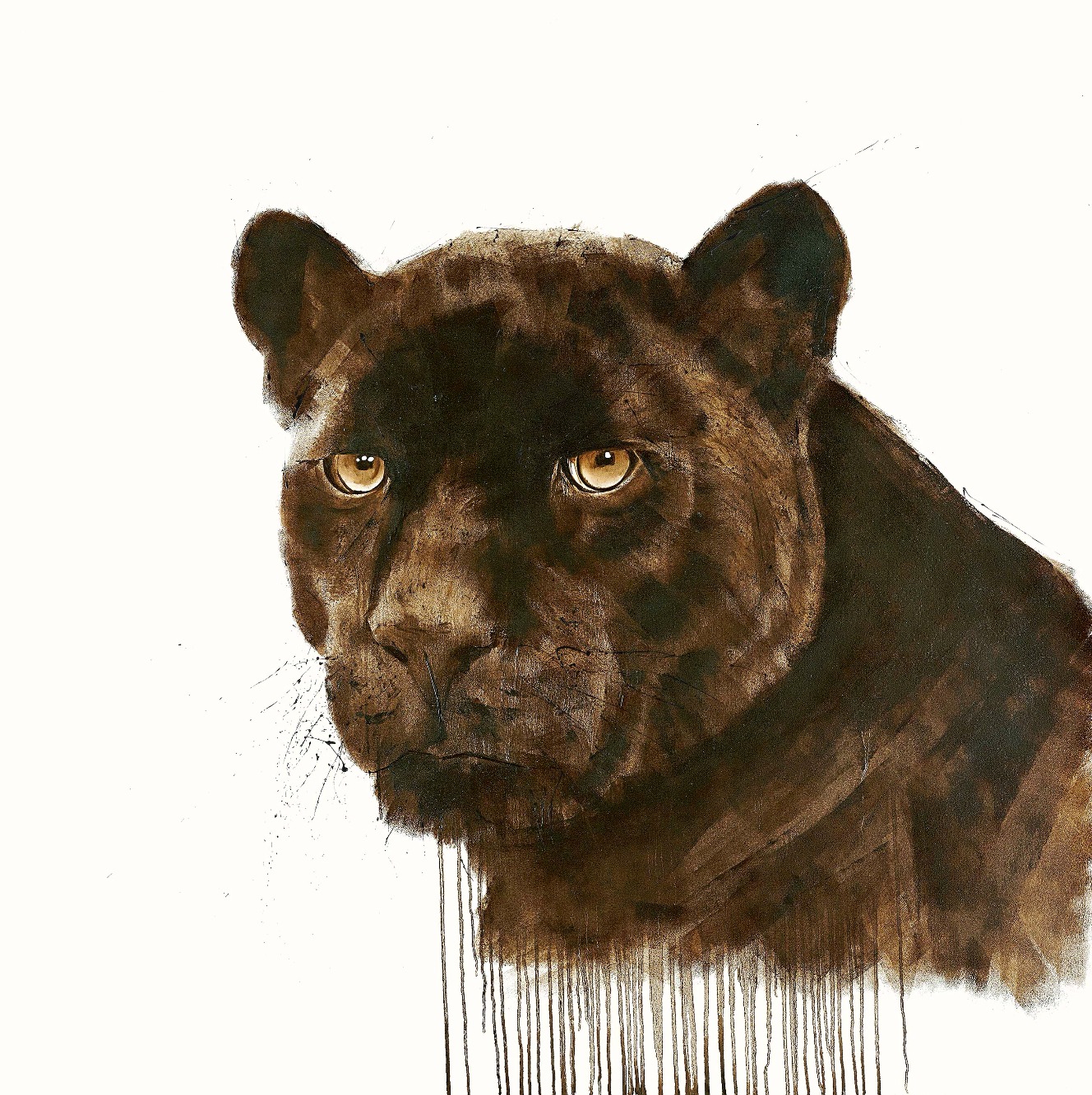 Manchas by David Rees, Animals | Cat