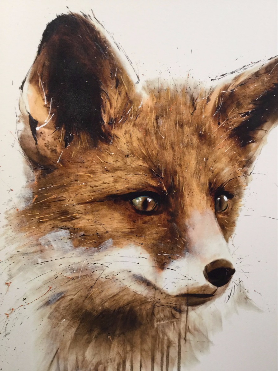 Mr. Fox by David Rees, Animals | Fox