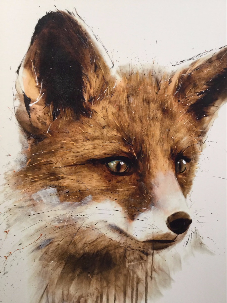 Mr. Fox by David Rees, Animals | Fox