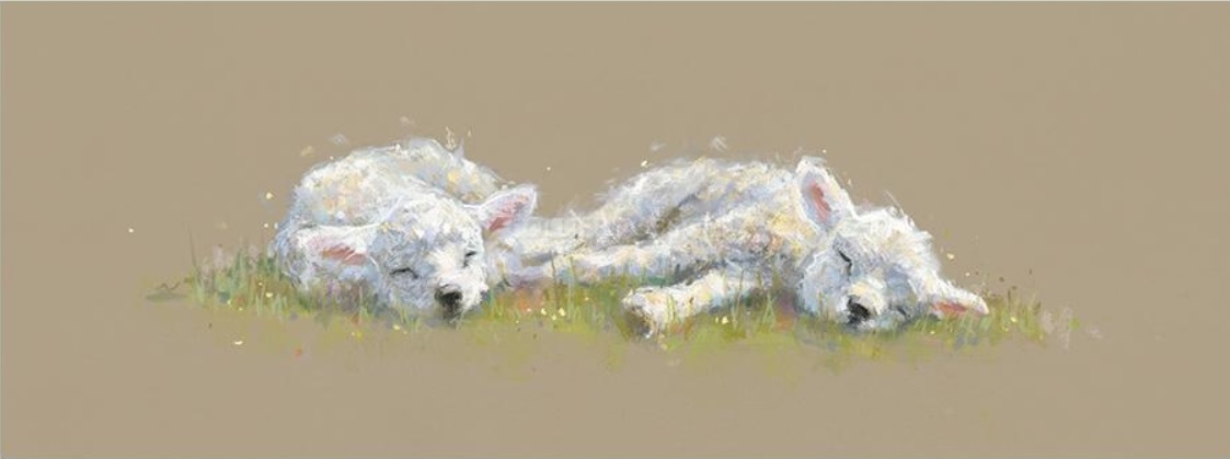 Springtime Slumber by Nicky Litchfield, Animals