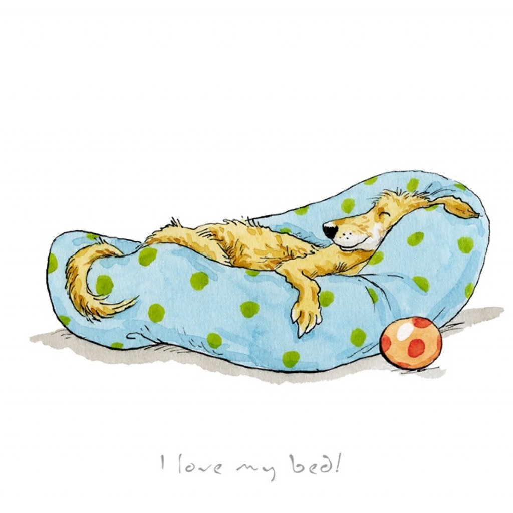 I Love My Bed! by Anita Jeram, Dog | Animals