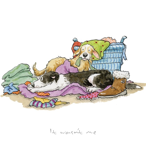 It Wasn't Me! by Anita Jeram, Dog | Animals