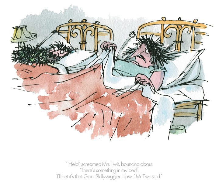 Help Screamed Mrs Twit by Quentin Blake