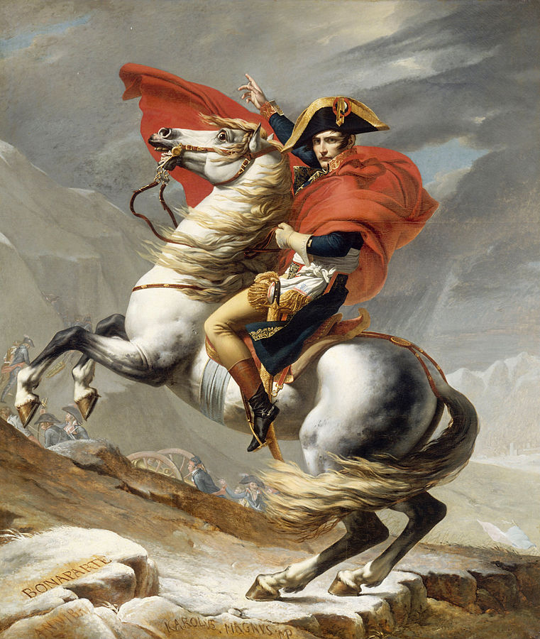 Napoleon T-Bonaparte by Caroline Shotton, Cow | Humour