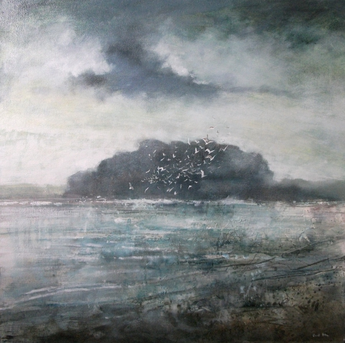 Seabirds by David Bez