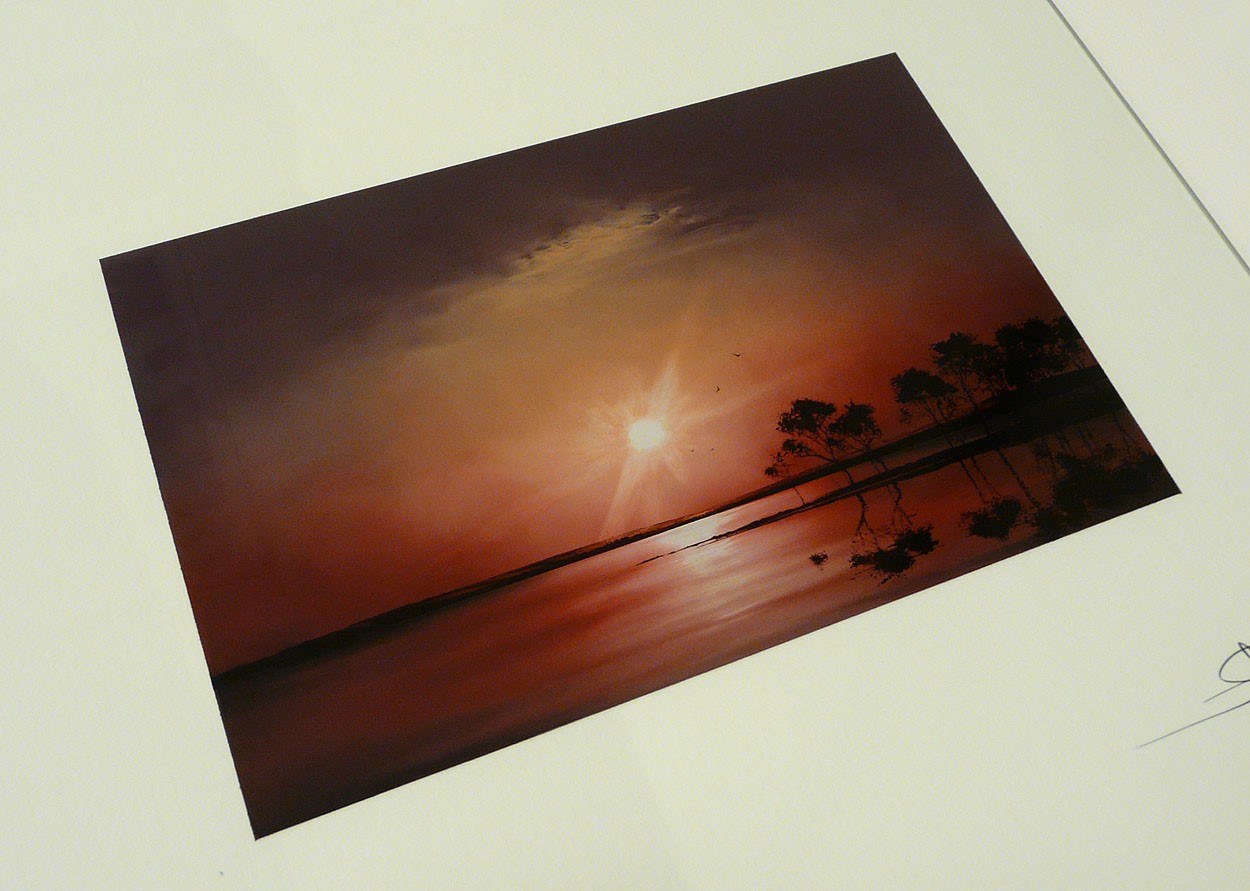 Silent Place by Richard Rowan Silent Place by Richard Rowan, Landscape | Bird | Water