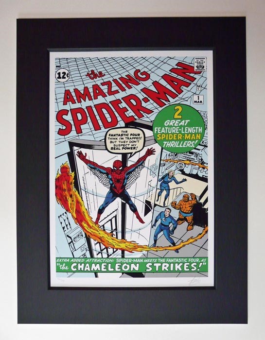 Spiderman Portfolio by Marvel Comics - Stan Lee, Marvel | Comic | Nostalgic | Rare